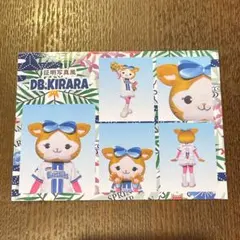 2026年最新】DBキララの人気アイテム - メルカリ