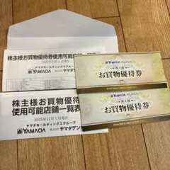 ヤマダ電機　株主様　お買物優待券　8000円分