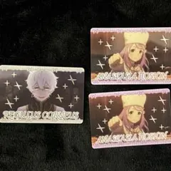 リゼロ Re:ゼロから始める異世界生活 コレクターズカード まとめ売り