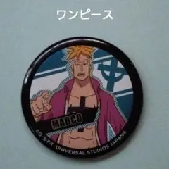 ONE PIECE USJ限定　缶バッジコンプリートBOX 2017年 ONE PIECE USJ限定 缶バッジコンプリートBOX 2017年