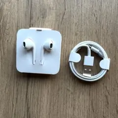 Apple 純正イヤホン iPhone 充電 ライトニングケーブル 正規品 2点