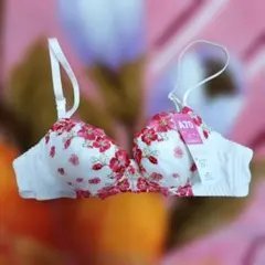 Item thumbnail for item 661732fd-3bf5-4a22-8452-56817893450c