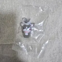 JO1 JOCHUM めじるしアクセサリー チュララ