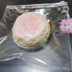 まとめ値引き個数×-200円 スクイーズ ブルーミング レインボー 丸型食パン