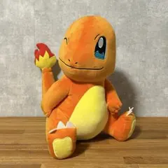 ポケモン　ポケットモンスター ヒトカゲ ぬいぐるみ