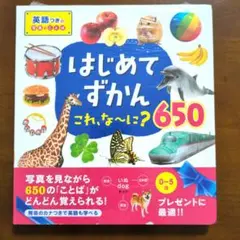 はじめてずかん これ、な～に?650