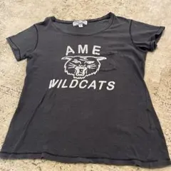 Americana Tシャツ　Wild CATS ワイルド　ネコ　Tシャツ日本製のサムネイル