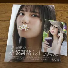 君は誰? : 小坂菜緒〈日向坂46〉1st写真集　ポストカード付