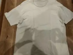 IENA　イエナ　カットソー　Tシャツ 　バックプリントのサムネイル