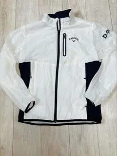 Item thumbnail for item 679eb1dc-ac47-4ced-8a92-eaf00ee269ed