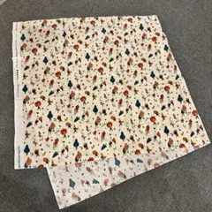 YO HOSOYAMADA ASSIETTE DE FRUITS 110×50