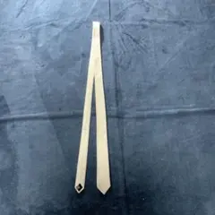 Item thumbnail for item 07222873-73e4-4f77-998c-64e78ded5da4