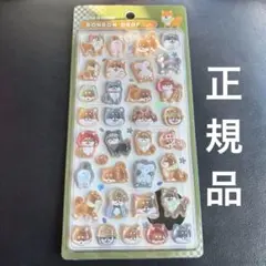 柴犬　ボンボンドロップシール　ボンドロ　正規品　和柄