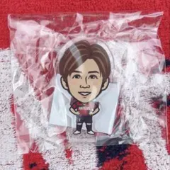 2025年最新】安西幸輝選手の人気アイテム - メルカリ