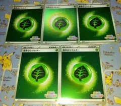 ポケモンカード　いっしょにフレンドバトル　基本草エネルギー　プロモ　5枚セット