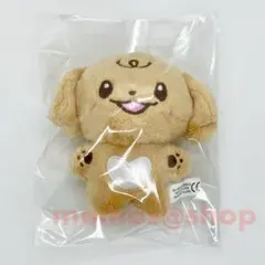 c*o様 enhypen ジェイク　40cm ぬいぐるみ　新品　マスター 2025年最新】ジェイク ぬいぐるみ マスターの人気アイテム - メルカリ