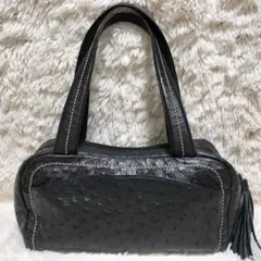 ボーグラン ハンドバック 肩掛け オーストリッチ JRA 美品 ブラック