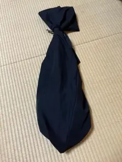 Item thumbnail for item 31ce7a15-ea49-44dc-b69b-8f4f7bbf107a