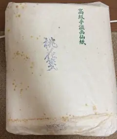 Item thumbnail for item c141d9ab-a26c-4e9c-b1a4-05bde8212f37