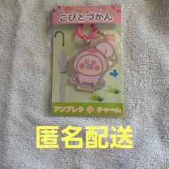 こびとづかん アンブレラチャーム アクリルキーホルダー　カクレモモジリ