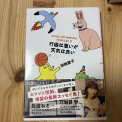 行儀は悪いが天気は良い キズあり