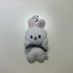 リノ リービット SKZOO StrayKids マグネットキーリング