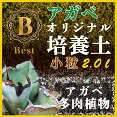 アガベ土☆オリジナル培養土Best2㍑ アガベ・各種サボテン・多肉植物の土