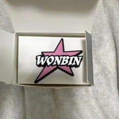 RIIZE WONBIN FANLIGHTアクセサリー ペンラ