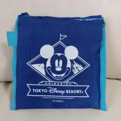 東京ディズニーリゾート ミッキーマウス エコバッグ