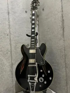 2026年最新】エピフォン ギター es-355の人気アイテム - メルカリ