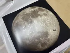 この夏の星を見る　パンフレット　新品未読品