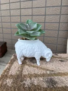 羊モチーフ 植木鉢 プランター ホワイトのサムネイル