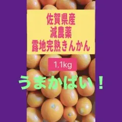 2026年最新】みかんさんの人気アイテム - メルカリ