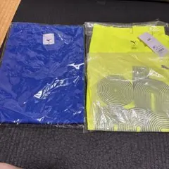 Item thumbnail for item 0b379d4e-0d1f-44d8-b5e6-597a1a091b59