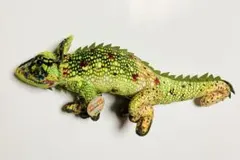 2026年最新】カメレオン ぬいぐるみの人気アイテム - メルカリ