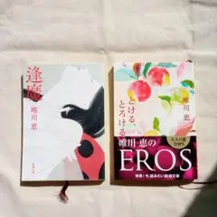 唯川恵官能的文庫本２冊セット