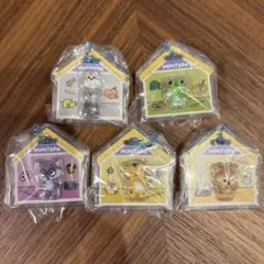 MINITEEN キーリング ラキドロ ランダム SEVENTEEN 未開封 - メルカリ