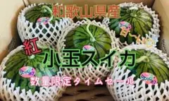 和歌山県産　甘～い♥️紅小玉スイカ　５玉入り　みかんキングのサムネイル