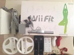 ★動作確認済　豪華セット　fitボード　Wii　 本体・リモコン・ソフト18点