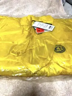 Item thumbnail for item 8e9ab382-d8f4-4927-ac83-d5076cfdaf01