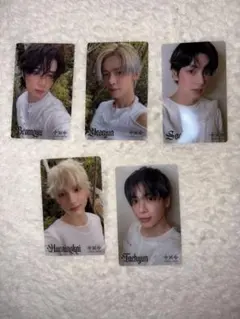 txt starkissed タレントカード