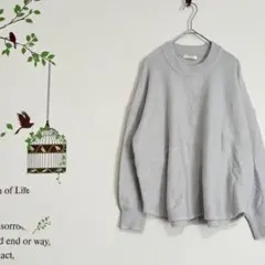 【新品】earth music&ecology/ブークレニットプルオーバー F