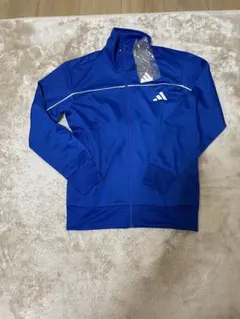 Item thumbnail for item 7a6a96a6-485f-4dff-bcf5-cc29a9ee570a