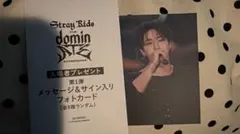 Stray Kids スキズ dominate 映画 第1弾 入場者特典 ハン