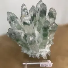 マダガスカル産 グリーンファントムクォーツクラスター｜小さな森 透明