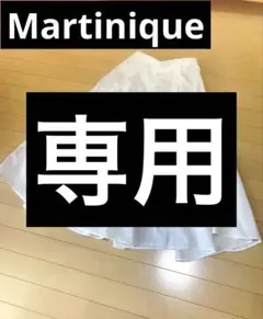 Item thumbnail for item f7e025c0-205f-42c0-a0b8-8cc6c5f77d1e