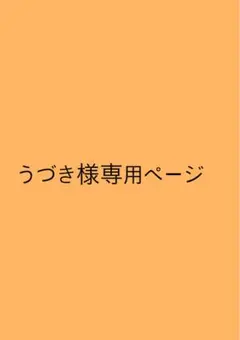 専用ページ