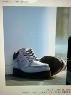 Timberland MOC TOE GTX US 8 MD-Gray