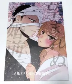 忍たま 同人誌 雑伊 卒業後 雑渡昆奈門×善法寺伊作 BL