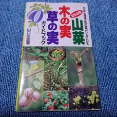 Item thumbnail for item eda101be-67df-4b20-81ea-44a889fe19f1